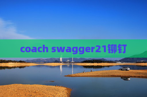 coach swagger21铆钉